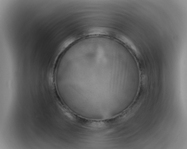 X0000115450882200911121151