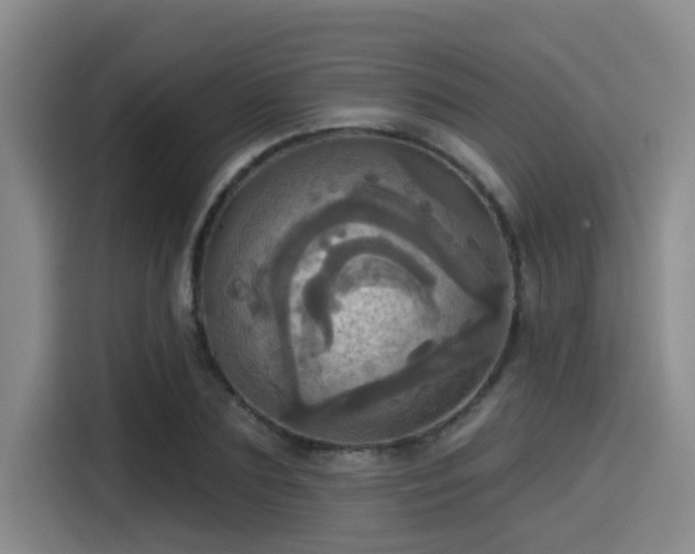 X0000115450883200911121151