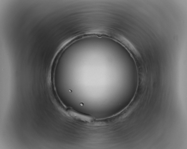 X0000115450884200911121151
