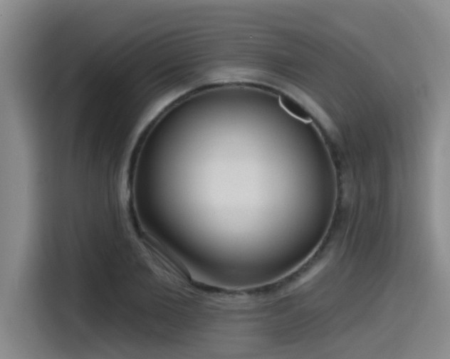 X0000115450885200911121151