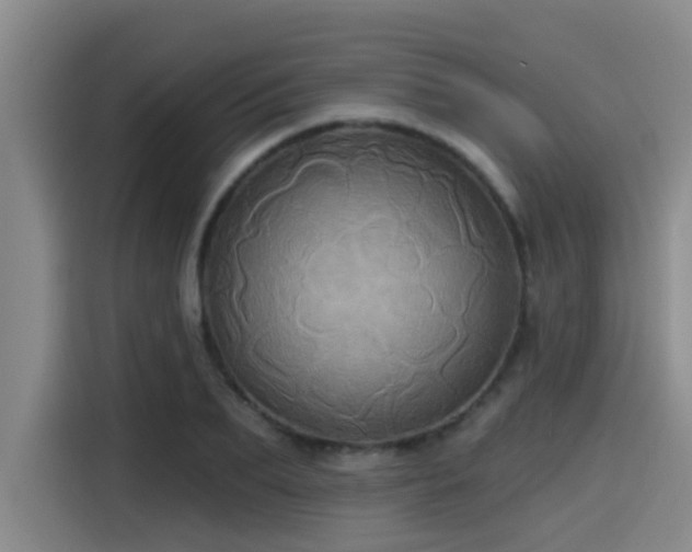 X0000115450887200911121151