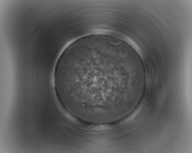 X0000115450891200911121151