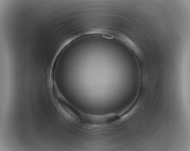 X0000115450892200911121151