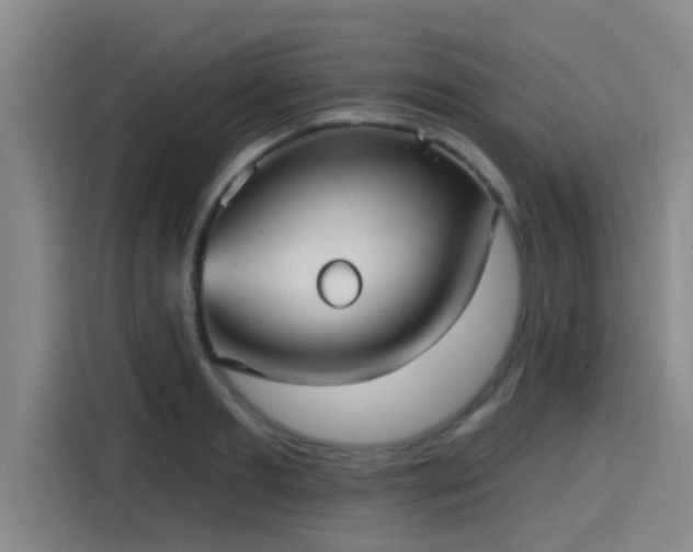 X0000115450893200911121151