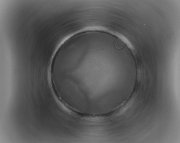 X0000115450895200911121151