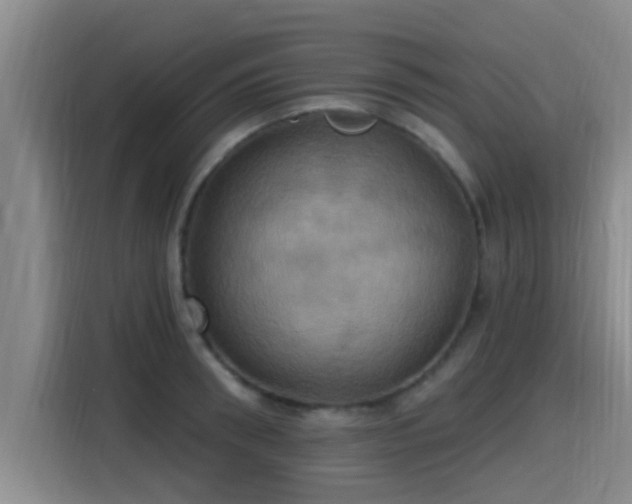 X0000115450898200911121151
