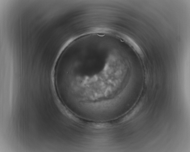 X0000115450899200911121151