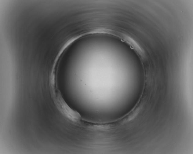 X0000115450900200911121151