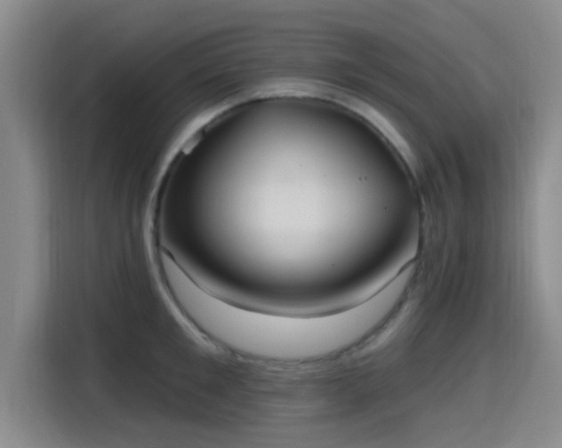 X0000115450901200911121151