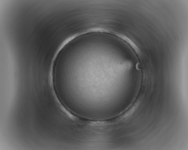 X0000115450902200911121151
