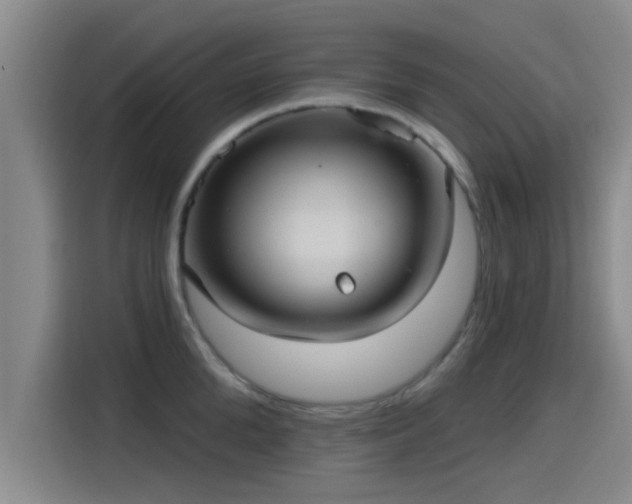 X0000115450904200911121151