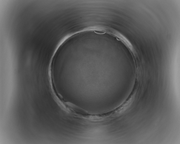 X0000115450907200911121151