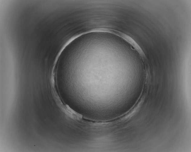 X0000115450908200911121151