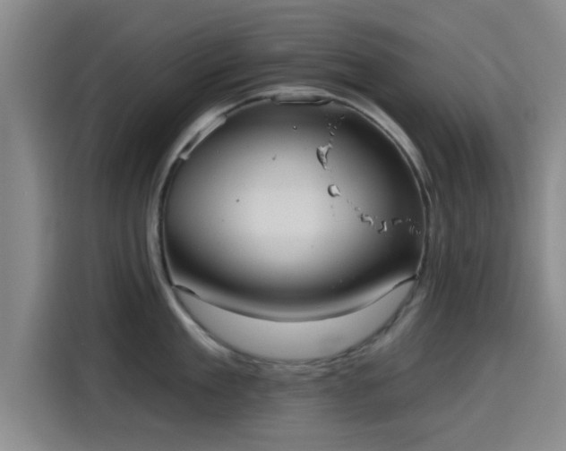 X0000115450909200911121151
