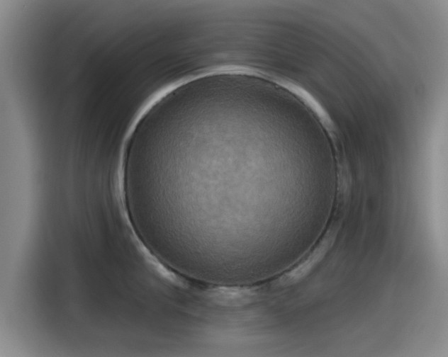 X0000115450910200911121151