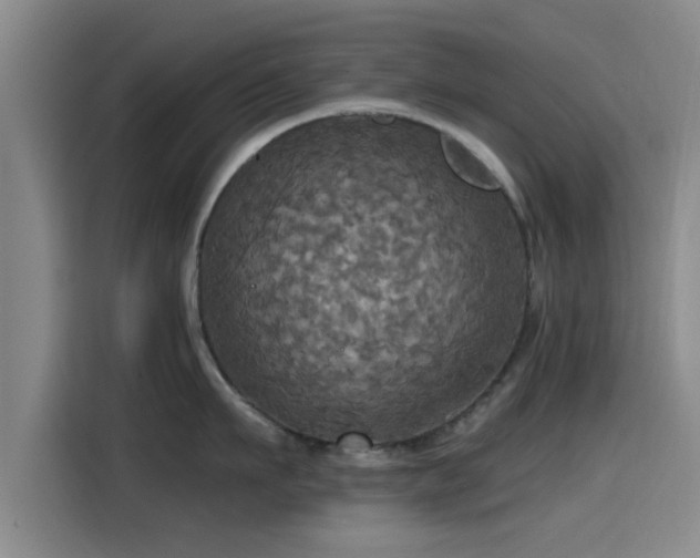 X0000115450911200911121151