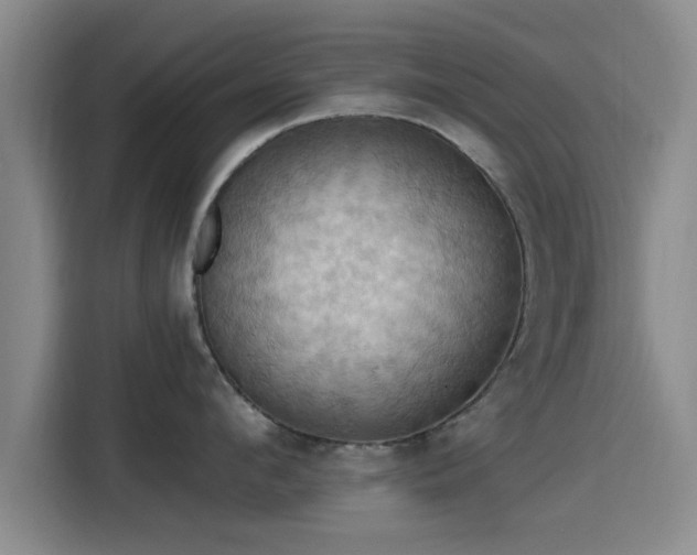 X0000115450912200911121151