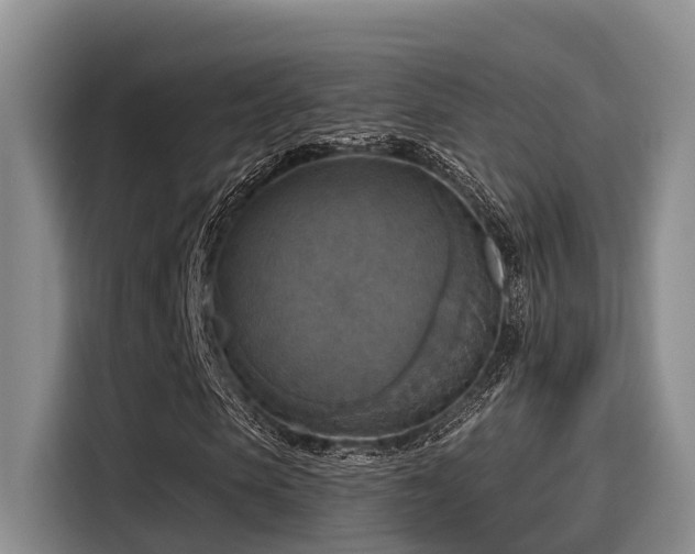 X0000115450913200911121150