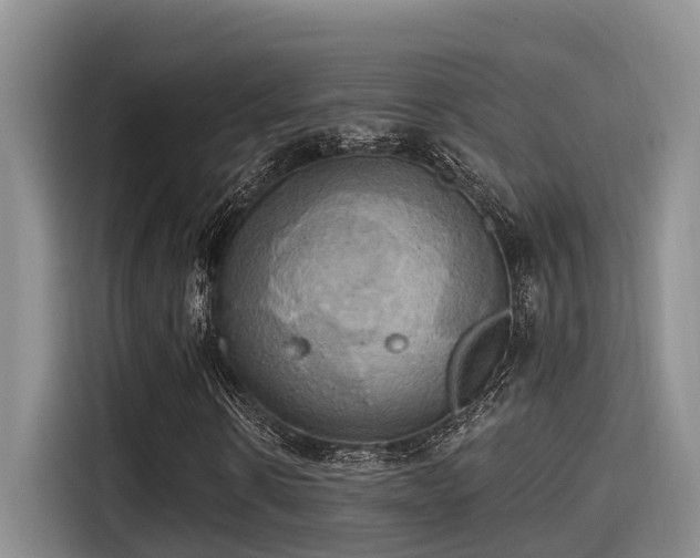 X0000115450914200911121150