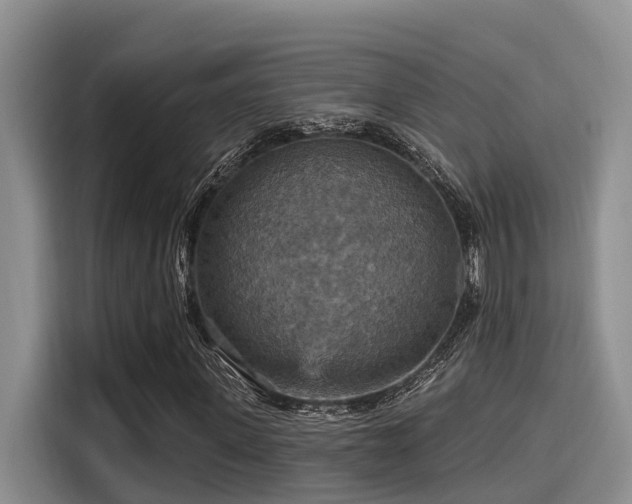 X0000115450915200911121150
