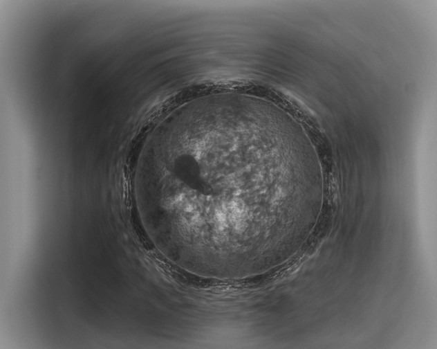 X0000115450917200911121150