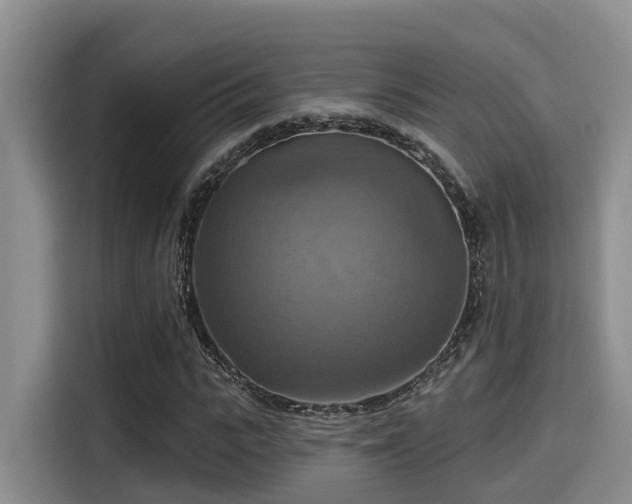 X0000115450919200911121151