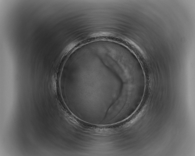 X0000115450921200911121151