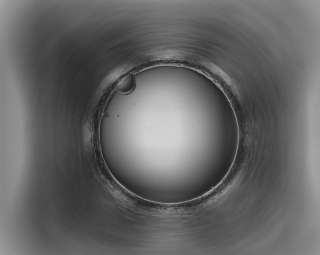 X0000115450922200911121151