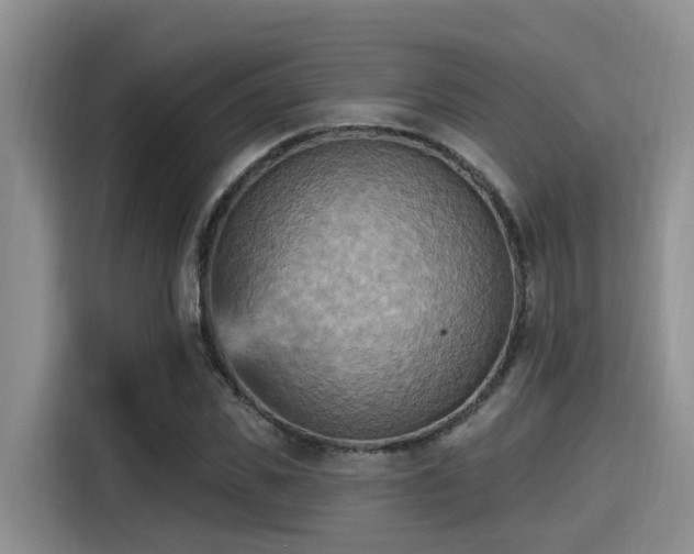X0000115450925200911121151