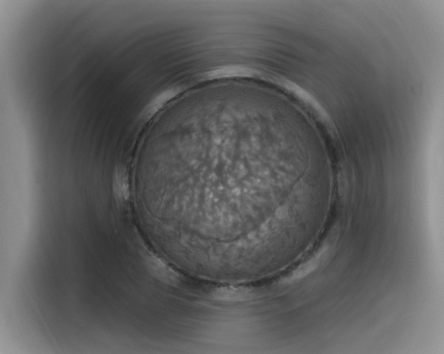 X0000115450929200911121151