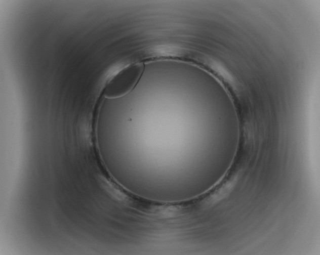 X0000115450930200911121151