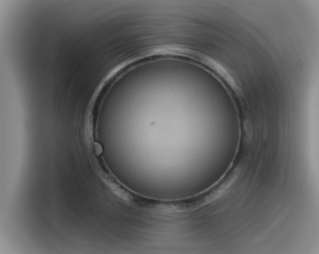 X0000115450931200911121151