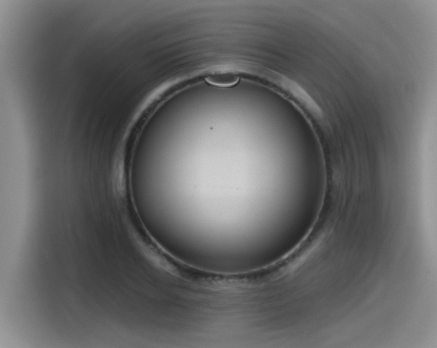 X0000115450934200911121151