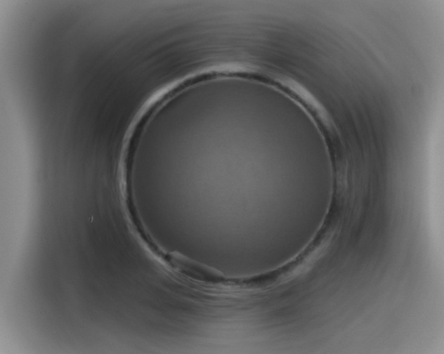 X0000115450935200911121151