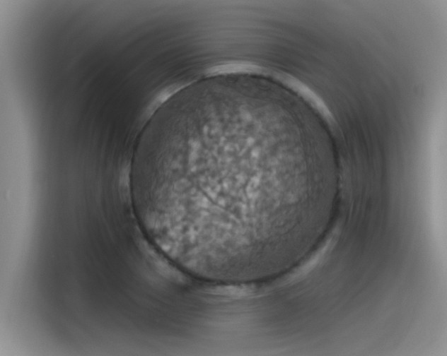 X0000115450937200911121151