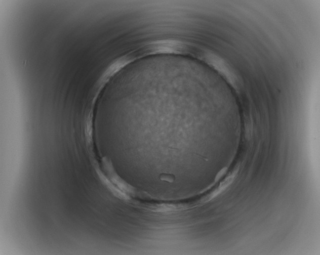 X0000115450938200911121151