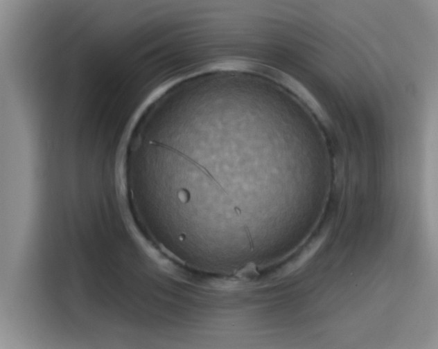 X0000115450939200911121151