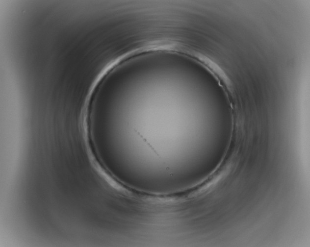X0000115450941200911121151