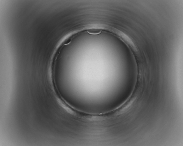 X0000115450942200911121151