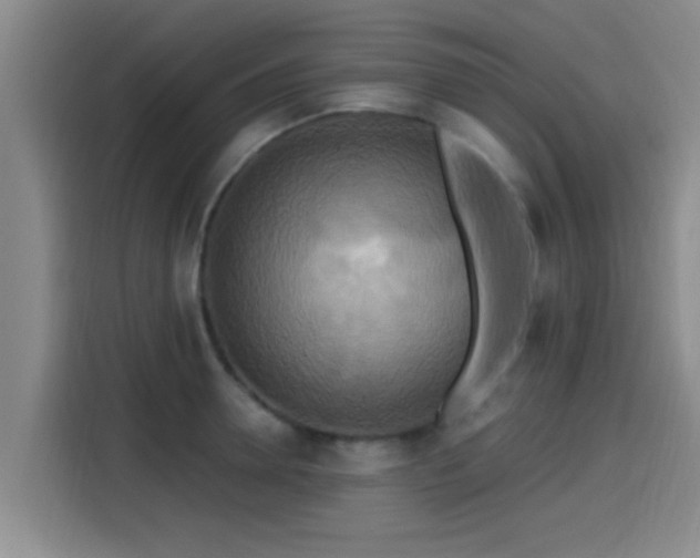 X0000115450946200911121151