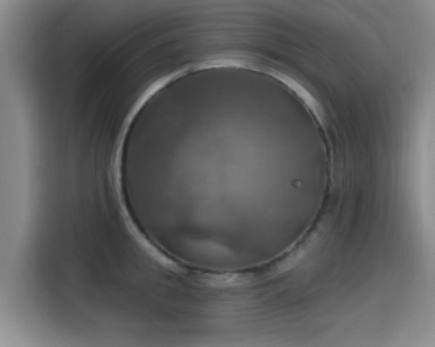 X0000115450949200911121151