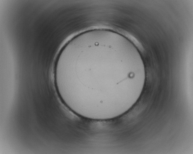 X0000115450950200911121151