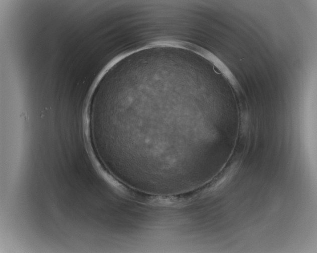 X0000115450955200911121151