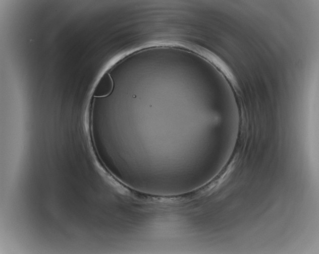 X0000115450958200911121151