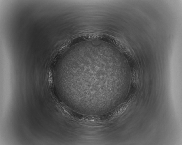 X0000115450962200911121150