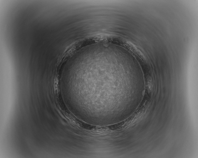 X0000115450964200911121150
