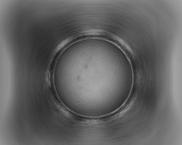 X0000115450970200911121150