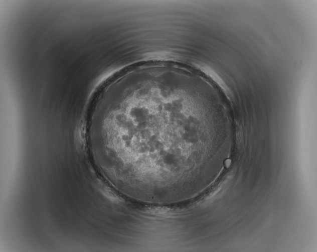 X0000115450971200911121150