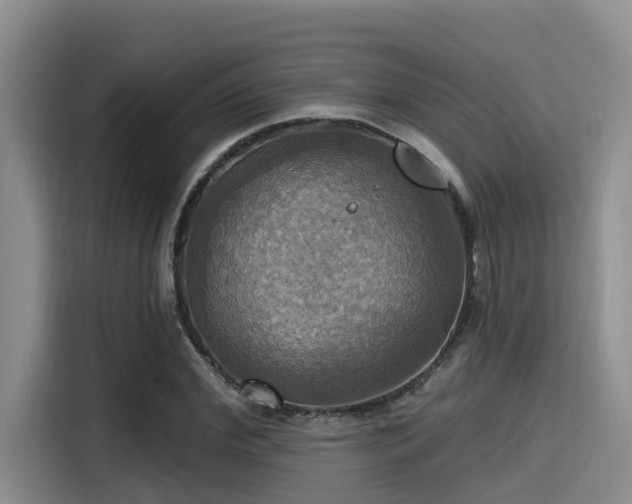 X0000115450972200911121150