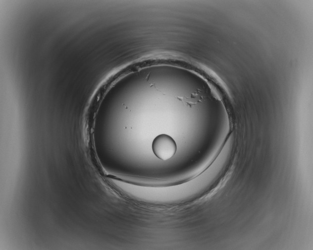 X0000115450973200911121150